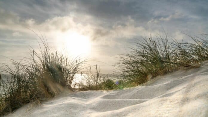 Sonnenlicht und Meer