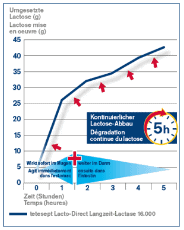 Wie wirken Laktoseintoleranz Tabletten